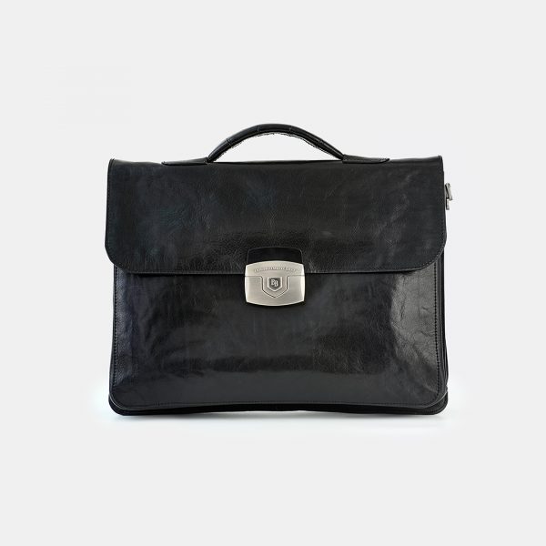 P-0043. Портфель.